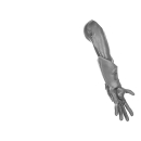 Warhammer ToW Bitz: Reiche der Waldelfen - Wilde Jagd - Torso I2 - Arm