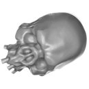 Citadel Bitz: Skulls for Warhammer AoS & 40k - Skull B02 - Giant