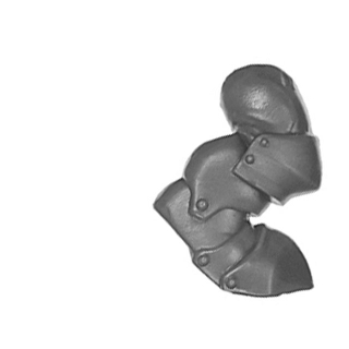 Warhammer ToW Bitz: Orcs & Goblins - Black Orc Mob - Torso D3