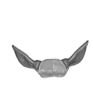 Warhammer ToW Bitz: Reiche der Waldelfen - Wilde Jagd - Torso K3 - Ross der Isha / des Kurnous