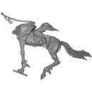 Warhammer AoS Bitz: Daughters of Khaine - Doomfire Warlocks - Dark Steed D2