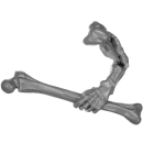 Warhammer AoS Bitz: VAMPIRFÜRSTEN - Vargheists - Arm F1 - Knochen
