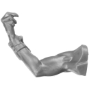Warhammer AoS Bitz: Daughters of Khaine - Melusai Blood Sisters - Torso B07b - Arm, Right