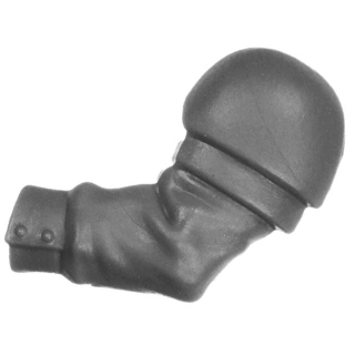 Warhammer 40k Bitz: Imperiale Armee - Cadianische Stosstruppen - Torso C3a - Arm, Links