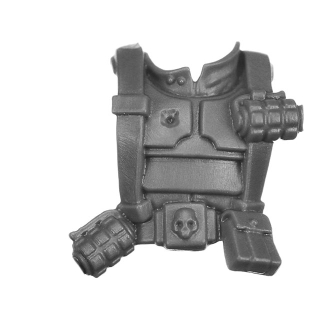 Warhammer 40k Bitz: Imperial Guard - Cadian Shock Troops - Torso D1a - Front