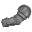 Warhammer 40k Bitz: Imperiale Armee - Cadianische Stosstruppen - Torso D3b - Arm, Links