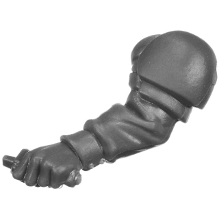 Warhammer 40k Bitz: Imperiale Armee - Cadianische Stosstruppen - Torso H4a - Arm, Links