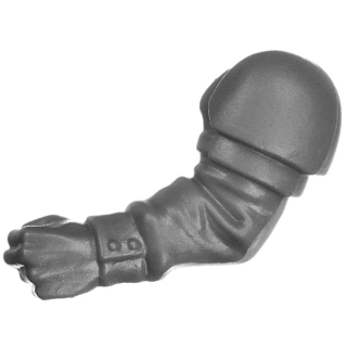 Warhammer 40k Bitz: Imperiale Armee - Cadianischer Kommandotrupp - Torso B6a - Arm, Links