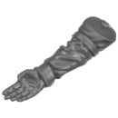 Warhammer 40k Bitz: Imperiale Armee - Cadianischer Kommandotrupp - Torso E8e - Arm, Rechts