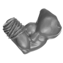 Warhammer ToW Bitz: Orcs & Goblins - Savage Orcs -...