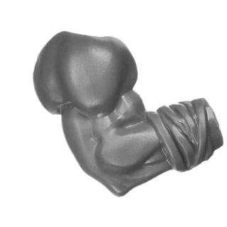 Warhammer ToW Bitz: Orcs & Goblins - Savage Orcs - Torso A3d - Arm, Right