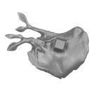 Warhammer AoS Bitz: Sylvaneth - Kurnoth Hunters - Torso C5d - Schulterpanzer, Links