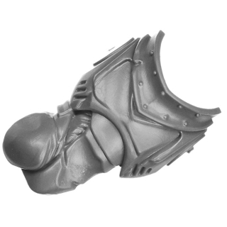Warhammer 40k Bitz: Black Templars - Sword Brethren - Torso A2c - Front, Kastellan
