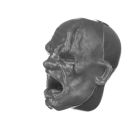 Warhammer ToW Bitz: Empire - Flagellants - Head G