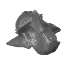 Warhammer ToW Bitz: Orcs & Goblins - Goblin Mob - Kopf D