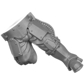 Warhammer 40k Bitz: Solar Auxilia - Lasrifle Section - Torso C5b - Leg, Left