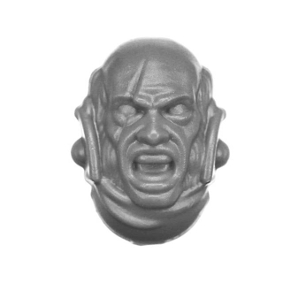 Warhammer 40k Bitz: Solar Auxilia - Tactical Command Section - Torso A1d - Head, Marshal