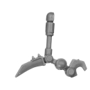 Warhammer 40k Bitz: Adeptus Mechanicus - Pteraxii - Torso B2c - Talon, Left
