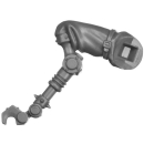 Warhammer 40k Bitz: Adeptus Mechanicus - Pteraxii - Torso C3a - Leg, Right