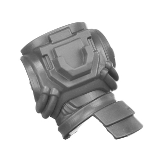 Warhammer 40k Bitz: Blood Angels - Sanguinary Guard - Torso A1b - Back