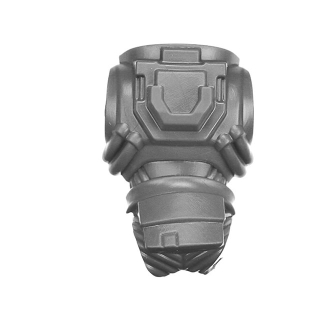 Warhammer 40k Bitz: Blood Angels - Sanguinary Guard - Torso B1b - Back