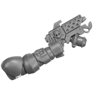 Warhammer 40K Bitz: Salamanders - Primaris Upgrades - Waffe B - Flammenpistole, Rechts