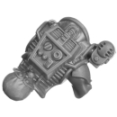 Warhammer 40k Bitz: Genestealer Cults - Jackal Alphus - Torso B2a - Back