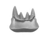 Warhammer 40K Bitz: Orks - Beastboss - Torso A4b - Kiefer, Mitte