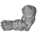 Warhammer 40K Bitz: Orks - Squighog Boyz - Torso B3d - Arm, Links