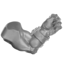 Warhammer 40K Bitz: Orks - Squighog Boyz - Torso B3d - Arm, Links
