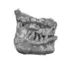 Warhammer 40K Bitz: Orks - Squighog Boyz - Torso D1b - Kopf, Rechts