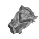 Warhammer 40K Bitz: Orks - Squighog Boyz - Torso D3c - Body, Front