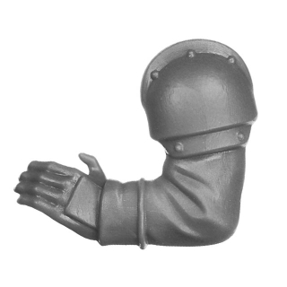 Warhammer 40k Bitz: Death Korps of Krieg - Heavy Weapons - Torso C3a - Arm, Left