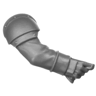 Warhammer 40k Bitz: Death Korps of Krieg - Heavy Weapons - Torso C3b - Arm, Right