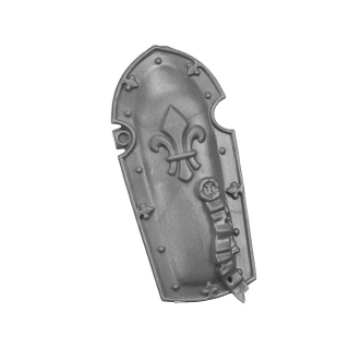 Warhammer 40k Bitz: Adeptus Sororitas - Celestian Sacresants - Torso A2b - Storm Shield+Bolt Pistol