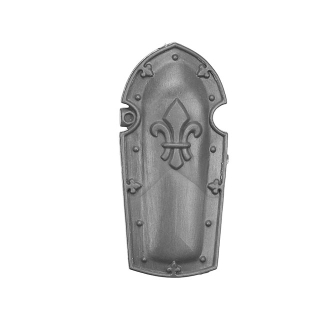 Warhammer 40k Bitz: Adeptus Sororitas - Celestian Sacresants - Torso C2b - Storm Shield+Bolt Pistol