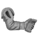 Warhammer 40k Bitz: Astra Militarum - Cadia Heavy Weapons Squad - Torso A1b - Arm, Links