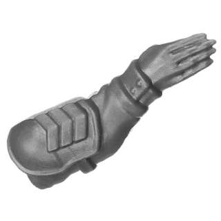 Warhammer 40k Bitz: Astra Militarum - Cadia Heavy Weapons Squad - Torso C1f - Sergeant, Arm, Left