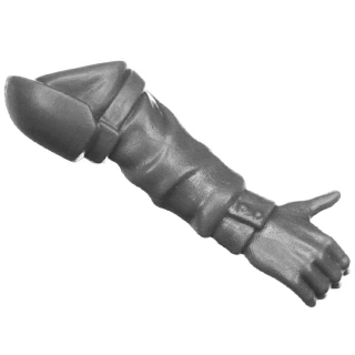 Warhammer 40k Bitz: Astra Militarum - Cadia Heavy Weapons Squad - Torso C2i - Arm, Right