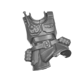 Warhammer 40k Bitz: Astra Militarum - Cadia Kasrkin - Torso D1b - Front
