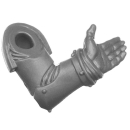Warhammer 40K Bitz: Emperors Children - Flawless Blades - Torso B6b - Arm, Links