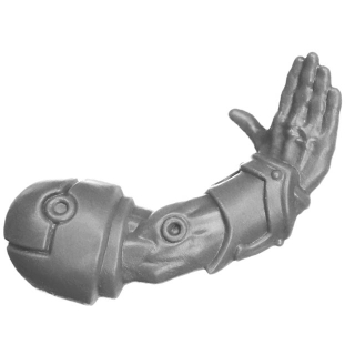 Warhammer 40K Bitz: Emperors Children - Flawless Blades - Torso C6b - Arm, Rechts