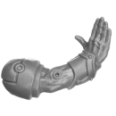 Warhammer 40K Bitz: Emperors Children - Flawless Blades - Torso C6b - Arm, Rechts