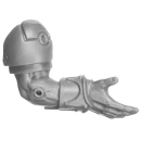 Warhammer 40K Bitz: Emperors Children - Flawless Blades - Torso C7b - Arm, Right