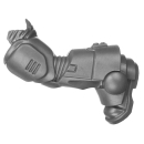 Warhammer 40k Bitz: Space Wolves - Blood Claws - Torso C2c - Bein, Links