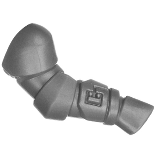 Warhammer 40k Bitz: Space Wolves - Blood Claws - Torso D5a - Arm, Right