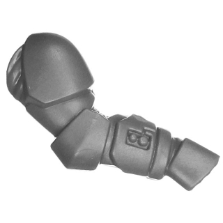 Warhammer 40k Bitz: Space Wolves - Grey Hunters - Torso A3b - Arm, Right