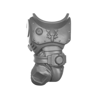 Warhammer 40k Bitz: Space Wolves - Grey Hunters - Torso C1a - Front