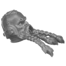 Warhammer 40k Bitz: Space Wolves - Wolf Guard - Head C