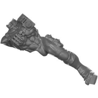 Warhammer 40k Bitz: Imperial Agents - Eversor Assassin - Torso A1a - Body